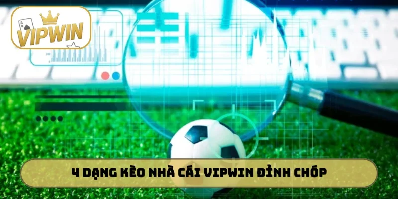 4 dạng kèo nhà cái VIPWIN đỉnh chóp cho người mới