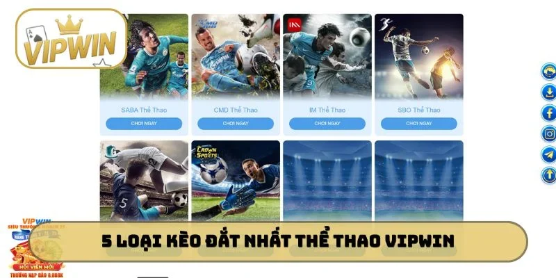 5 loại kèo đắt “sô” nhất thể thao VIPWIN