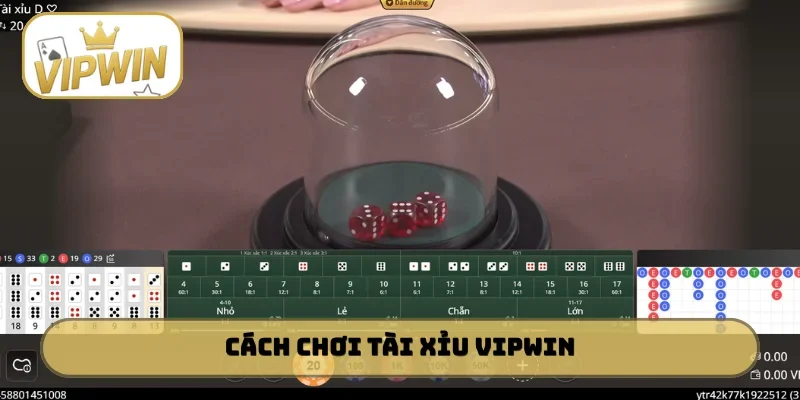 Luật chơi Tài Xỉu VIPWIN siêu đơn giản