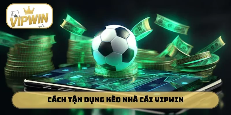 Cách tận dụng kèo nhà cái VIPWIN hiệu quả nhất