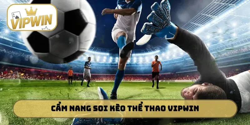 Cẩm nang soi kèo thể thao VIPWIN