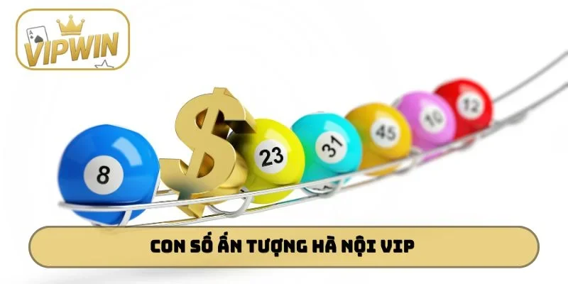 Con số ấn tượng Hà Nội Vip